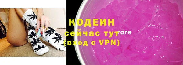 бошки Туринск