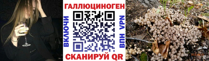 Галлюциногенные грибы Magic Shrooms  Камбарка 